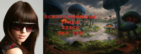 герыч Алзамай