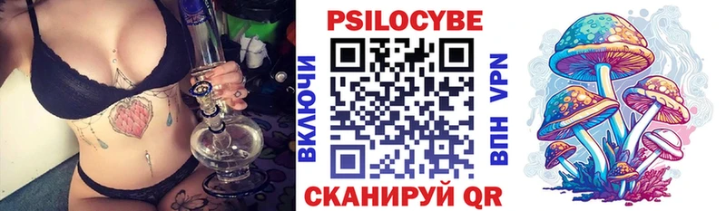 кракен онион  Боровск  Псилоцибиновые грибы Psilocybine cubensis 